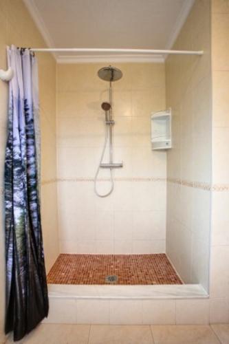 eagle_mast_bath_shower